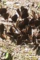 2011-08- (249)